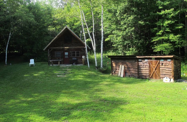 Acogedora cabaña en 20 acres arbolados en Vermont