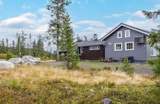 Acogedora casa en Sjusjøen