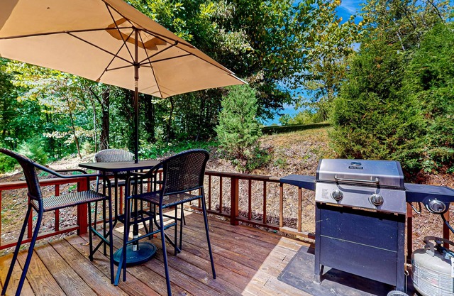 Cozy home w/ large yard, games, close to Douglas Lake - free attraction tickets