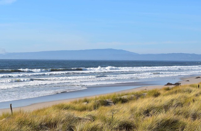Cosy, Ocean Front Condo NUEVO Pickleball Courts