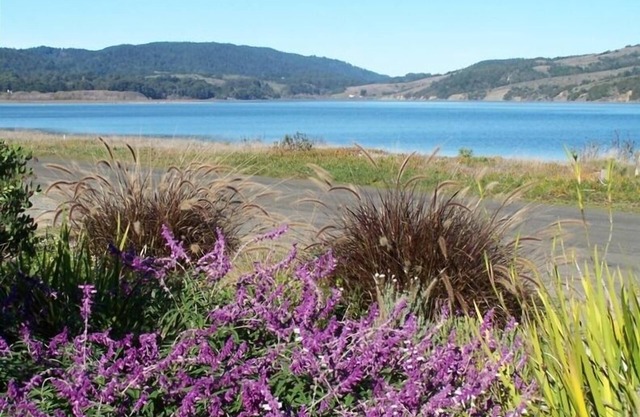 Acogedor relajante Stinson Beach Getaway