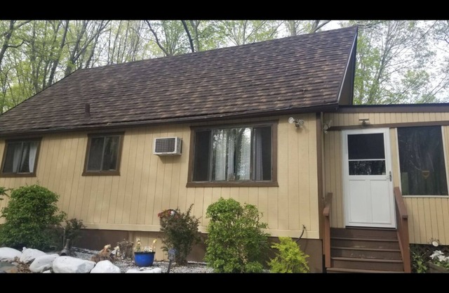 Cozy relaxing cabin in energizing area of woods. — 5 minute walk from the river!