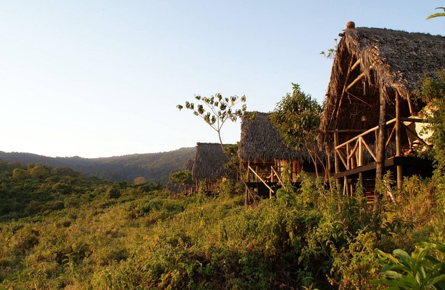 Crater Forest Tented Lodge