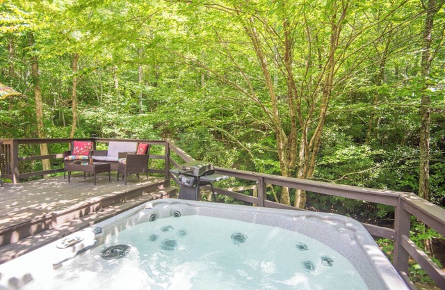 Inicio de sesión privado en Rushing Creek en Blue Ridge Mountains