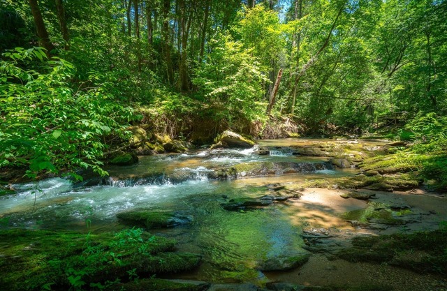 Creekside Oasis – Pet-Friendly Cottage on Town Creek
