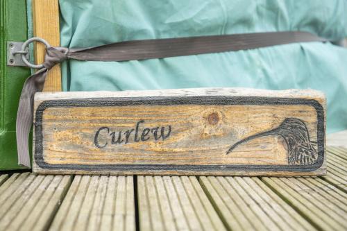 curlew