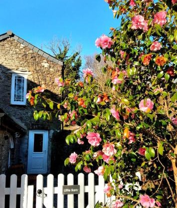 Cute Cornish Cottage