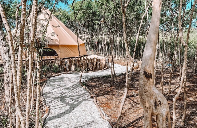 Cute Off Grid Bell Tent with WIFI - 5 min from Haleiwa!!!!