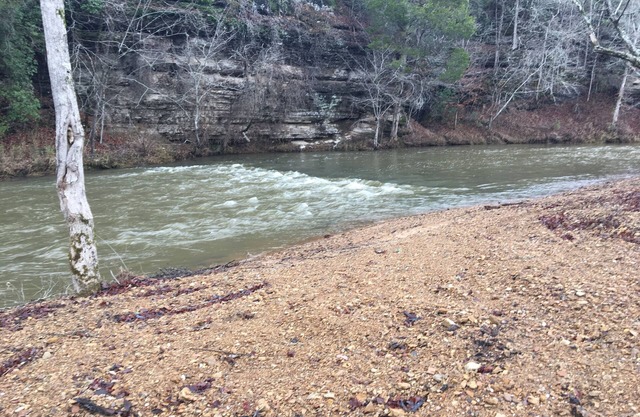 Direct access camping on the Buffalo River with bathrooms/showers!!!