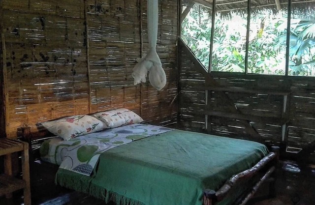 Discover serenity in the Ecuadorian Amazon.