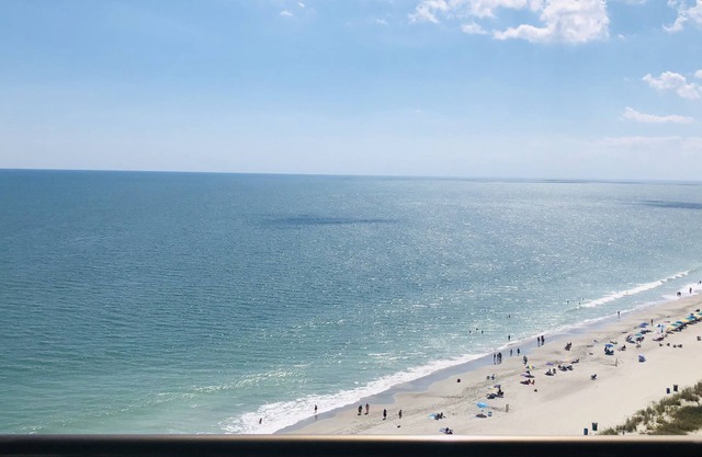 Dog & Family-Friendly Oceanfront Resort Room with Full Kitchen- 15th Floor Views