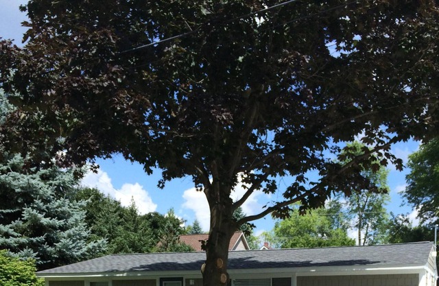 El centro de Lake Orion Casa
