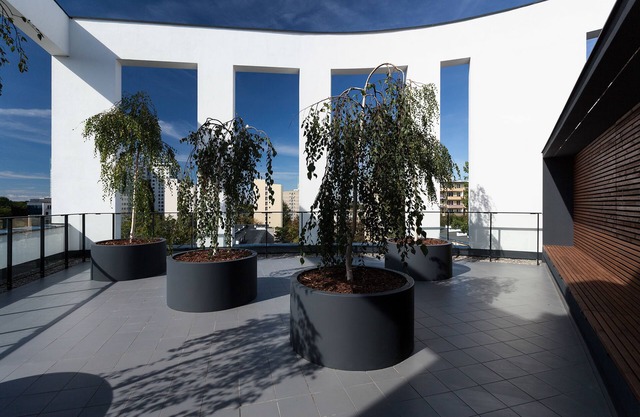 E-apartments Dzielna 72