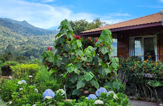 Eco resort: Panama's largest butterfly exhibit, native bee and honey farm