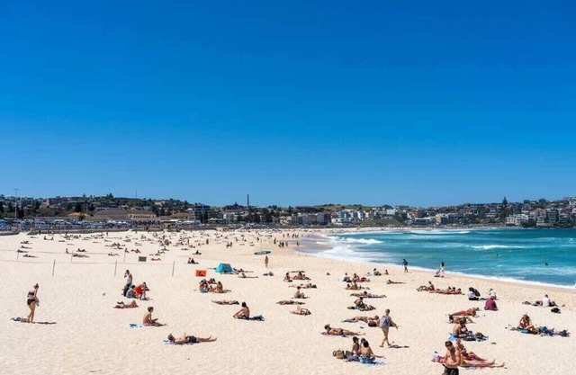 Edward Escape - New Listing | Short Walk to Beach
