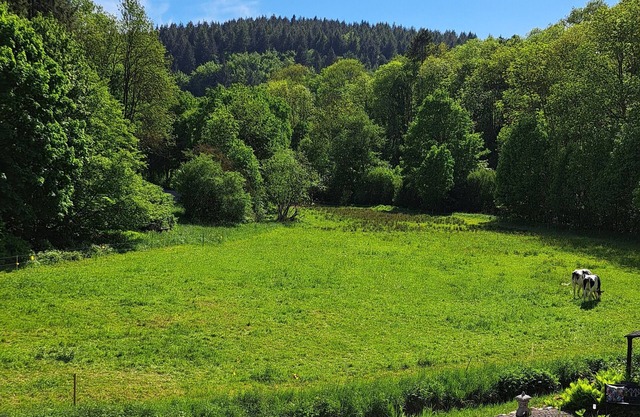 EL MIRADOR - Holiday apartment near Nürburgring - Eifel - Laacher See - Ahrtal