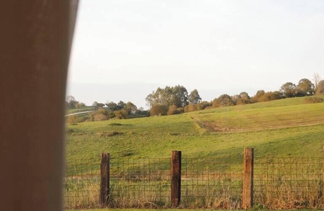 EL PERAL Apartamento LA HUERTONA DE CAVIEDES