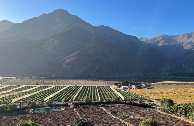 Parcela de Los Paltos en Valle Del Elqui, Cabaña de 2 habitaciones
