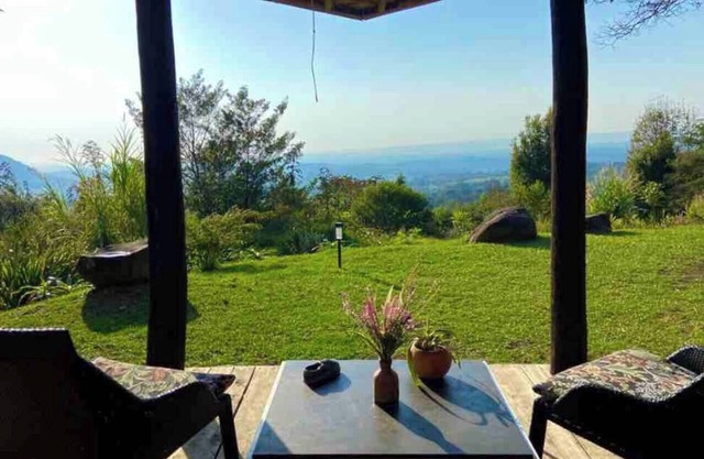 Escápate a un bosque Mágico (Citlalapa)