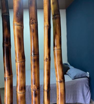 Espaço bambu