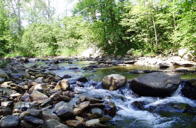 Evergreen es un refugio ideal para familias, ubicado en Weston Vt.