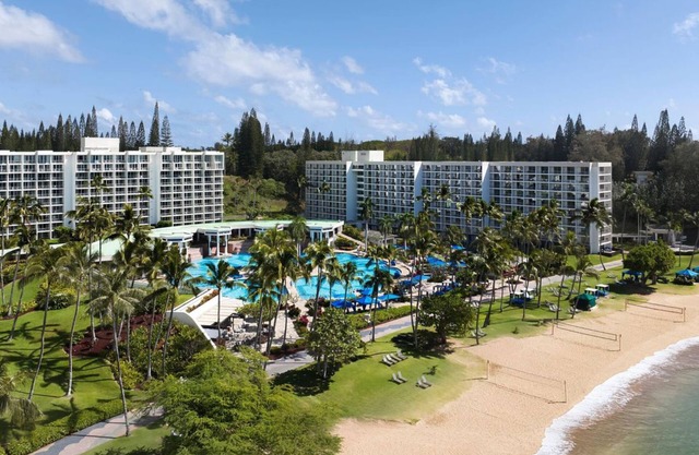 Exciting Water Adventures! Beachfront Resort! W/ Pool Access & Airport Shuttle!