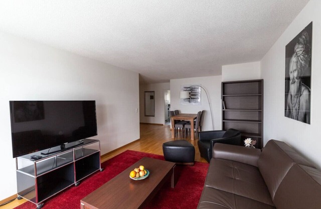 Executive 2 BD flat / city center (Hösch 5)