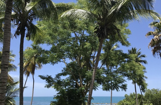 Condominio frente a la playa. Perfecto para un fin de semana romántico.