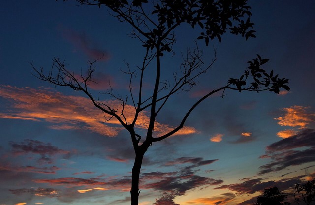 Farmstay en Rancho Montecito