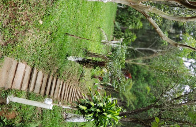 Finca con piscina, barbacoa y mucho verde.