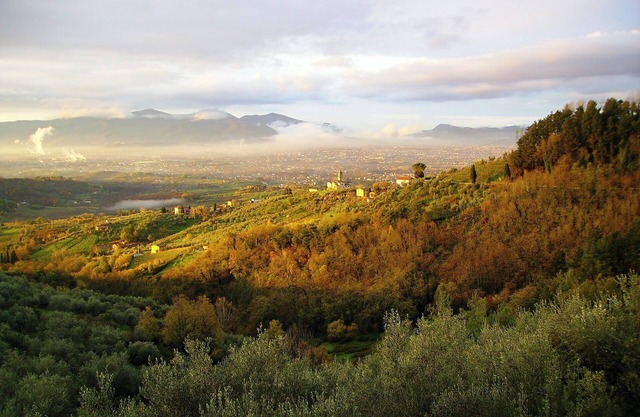 Fattoria di Petrognano, tu habitación B & B 2