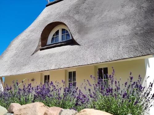 Ferdinand - Ferienhaus mit Kamin, Sauna und Meerblick