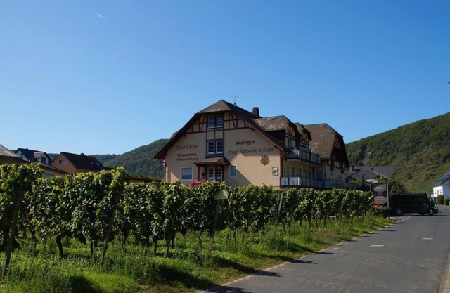 Ferienweingut Hugo Friederich & Sohn - double room