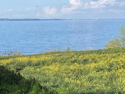 Ferienwohnung mit Meerblick
