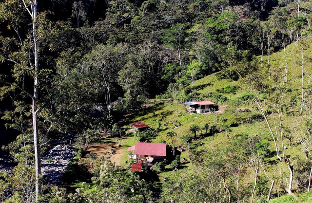 Finca Pura Vida - simplemente disfrute la vida y relaja