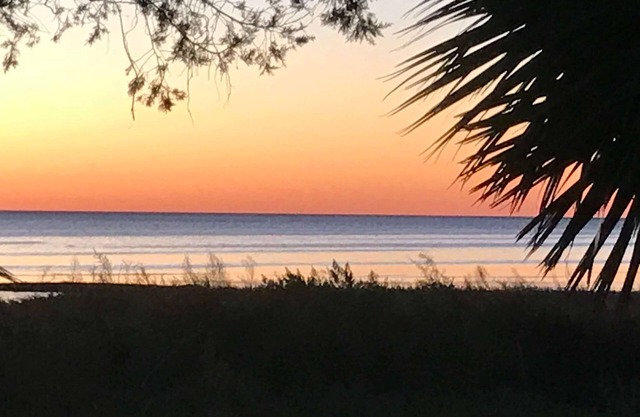 Branquias de pescado | Alquiler de vacaciones en Keaton Beach LLC | Costa del Golfo de Florida