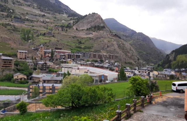 Flor de Muntanya HUT1-08302