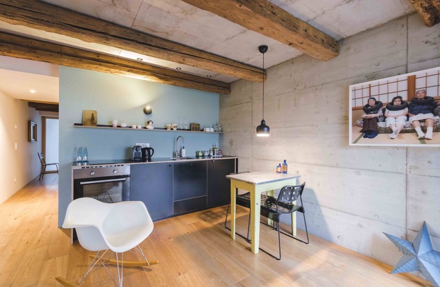 FRIZ 4 Moderno apartamento en granero histórico