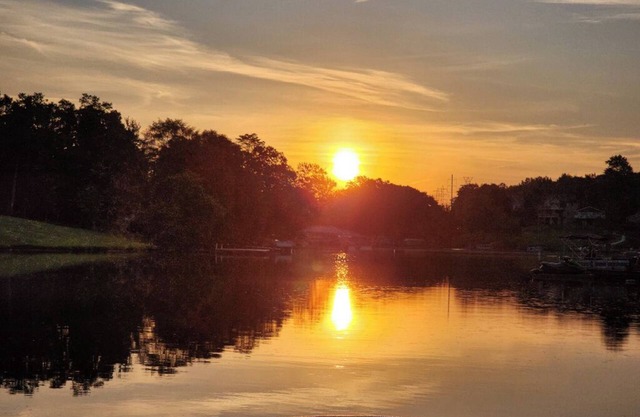 Frog Haven on Lake Bowen