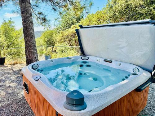 Fun for 2-Hot Tub-Dogs Ok-Near Bass Lake