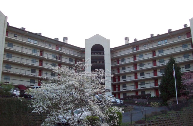 Gatlinburg Chateau Rentals