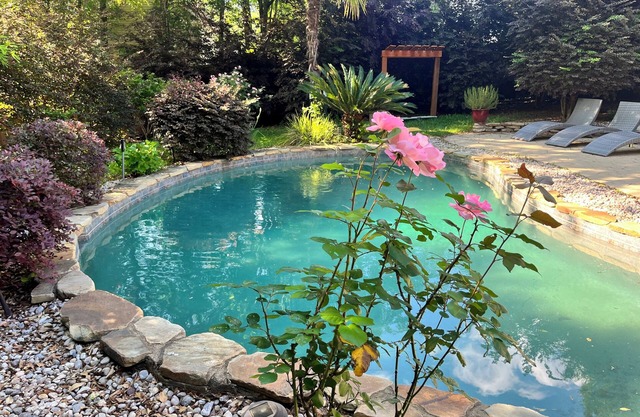 Gorgeous 4-bedroom house with a beautiful pool and a garden oasis.
