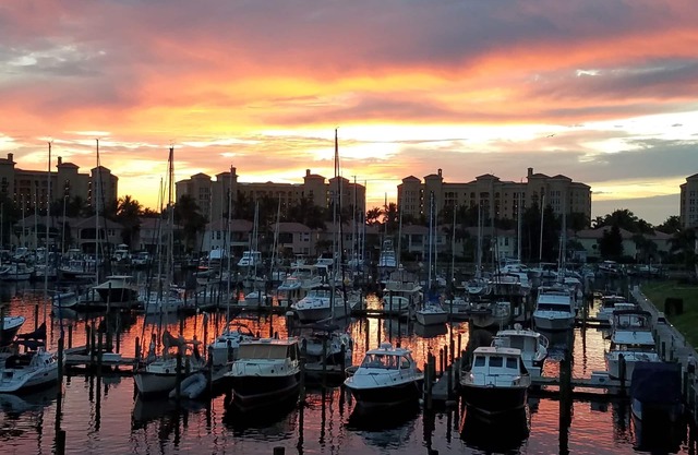 Hermosa vista al puerto y magníficas puestas de sol! ¡Mira cómo juegan los manatíes!