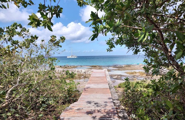 Great Condo in Cozumel, OCEAN FRONT!! #10
