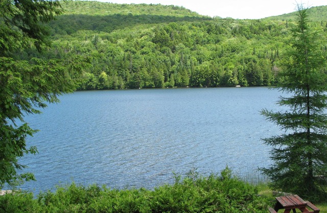 Gran tiempo a solas! Waterfront Cabin - Bien comportados perros Bienvenido. ¡Ve a Lakeside!