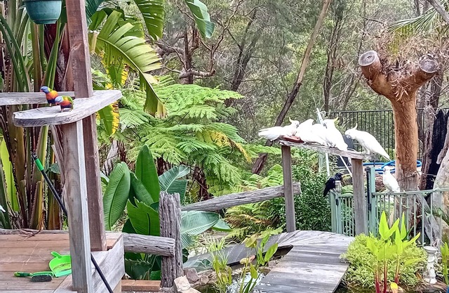 Grey Gum Cedar House Edge of National Park Deck BBQ Pool Bar Close to station