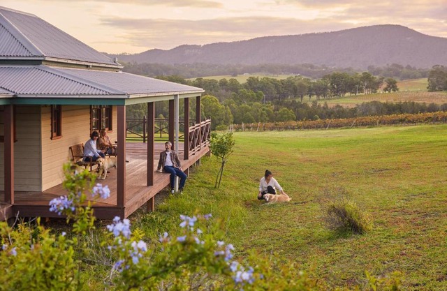 Hanging Tree Wines