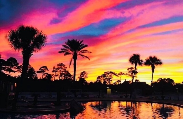 HangLoose14ad Purple Parrot Resort Perdido Key FL (Reserva ahora para agosto)