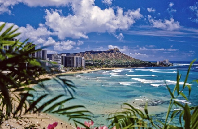 Hawaiian Monarch 2010 Condo by RedAwning