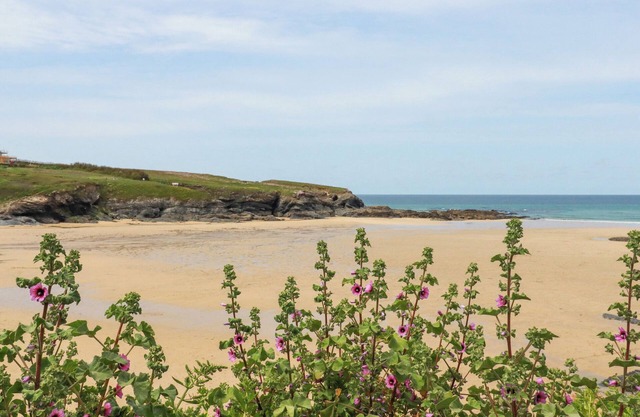 Hawker's Cove